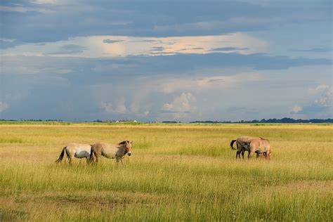 Hortobágy National Park